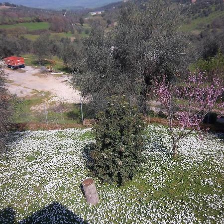 Agriturismo Norianino Монтемерано Экстерьер фото