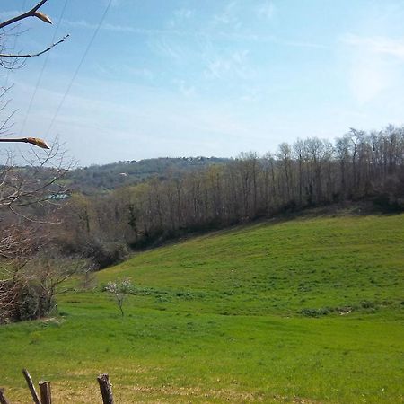 Agriturismo Norianino Монтемерано Экстерьер фото