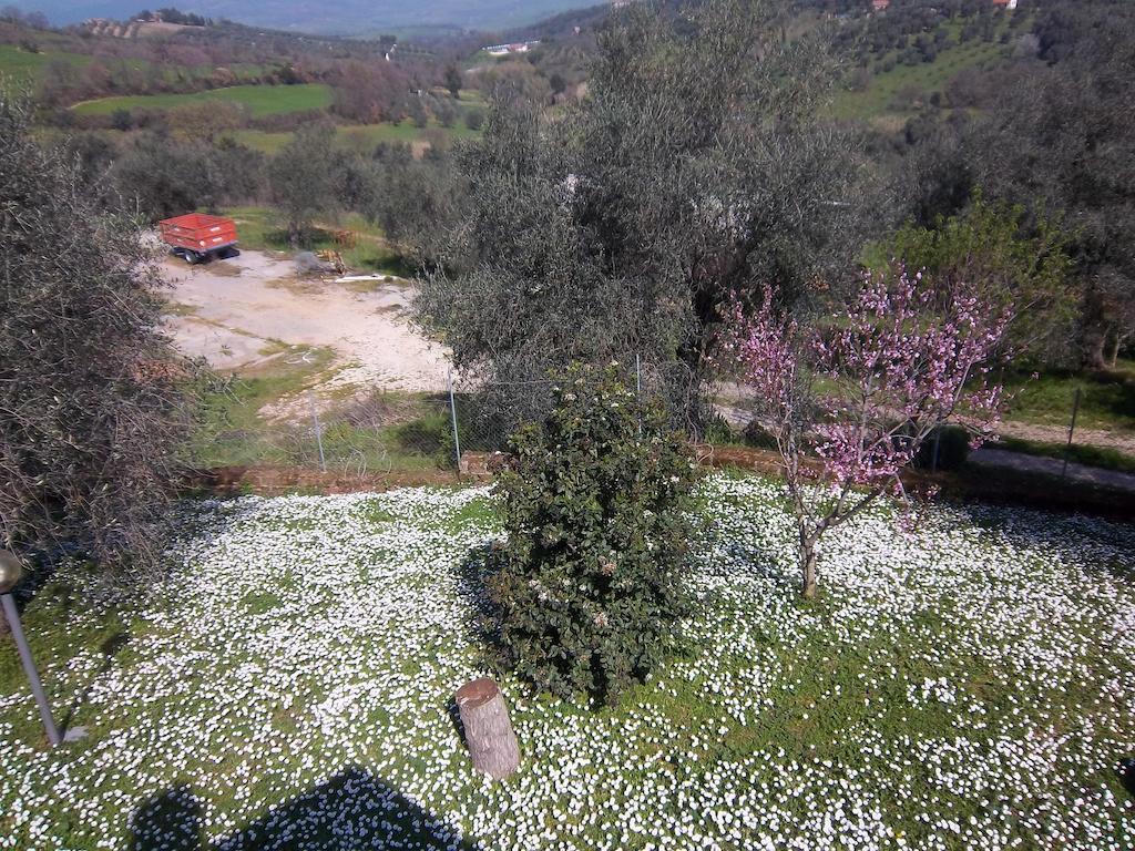 Agriturismo Norianino Монтемерано Экстерьер фото