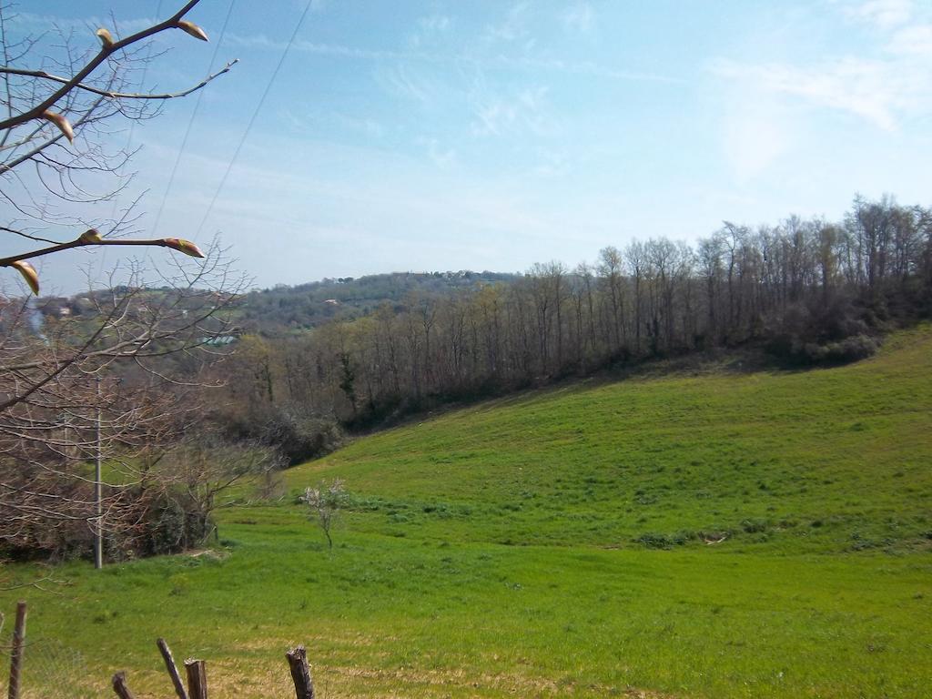Agriturismo Norianino Монтемерано Экстерьер фото
