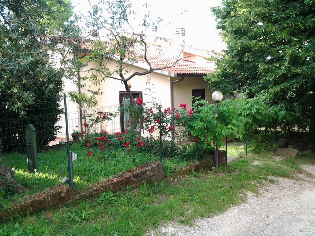Agriturismo Norianino Монтемерано Экстерьер фото